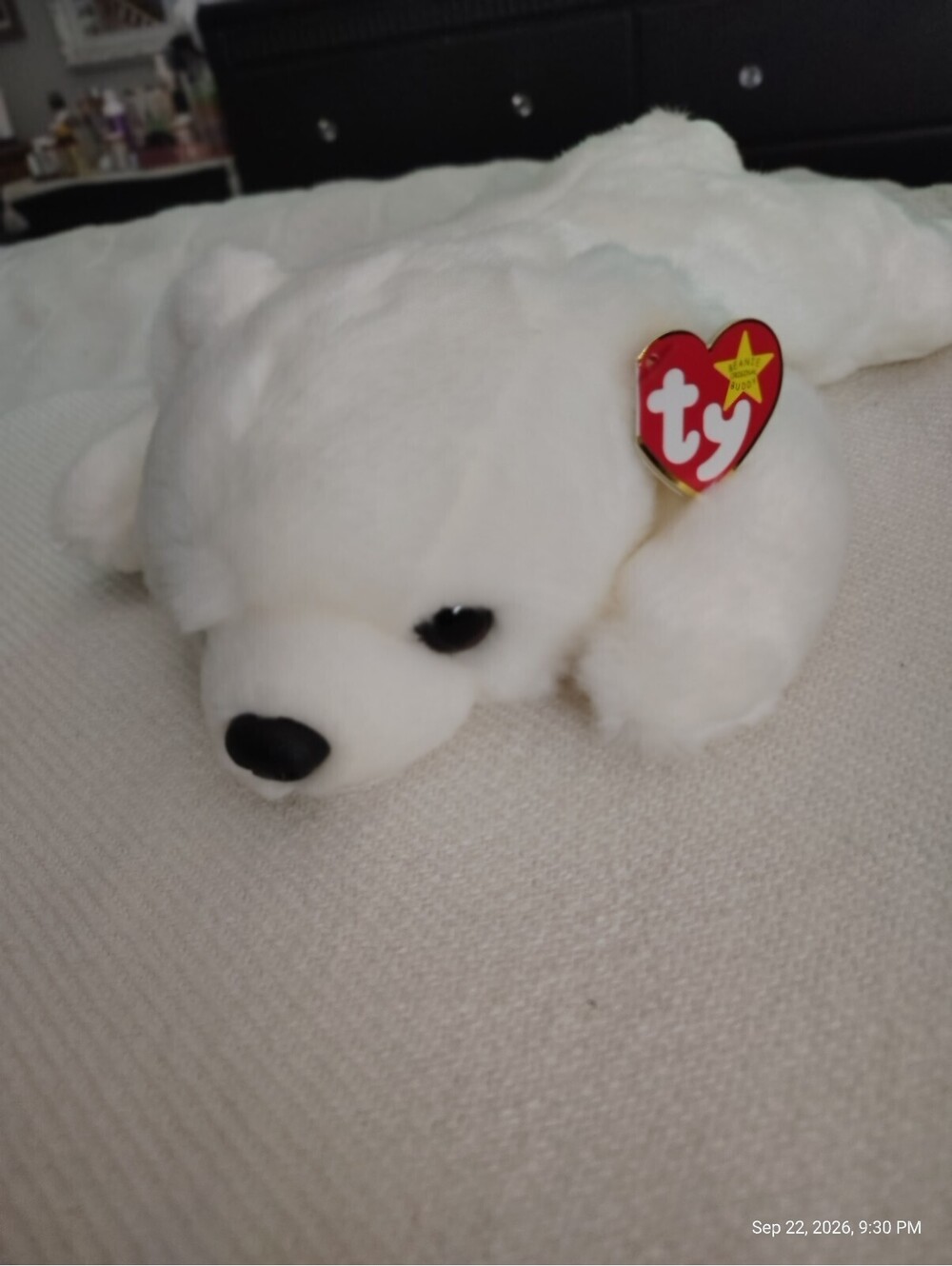 Ty Beanie Baby Chilly the White Polar Bear Plush Toy